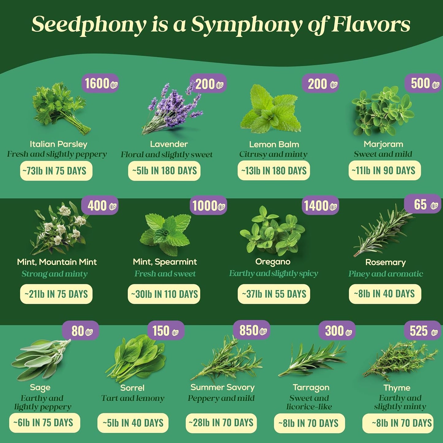 25 Culinary Classic Herb Seeds Variety Pack - 13,055+ Non-GMO Heirloom Herbs Seeds for Planting Indoor & Outdoor: Lavender, Rosemary, Dill, Mint, Catnip, Basil - Gardening Seeds Packets