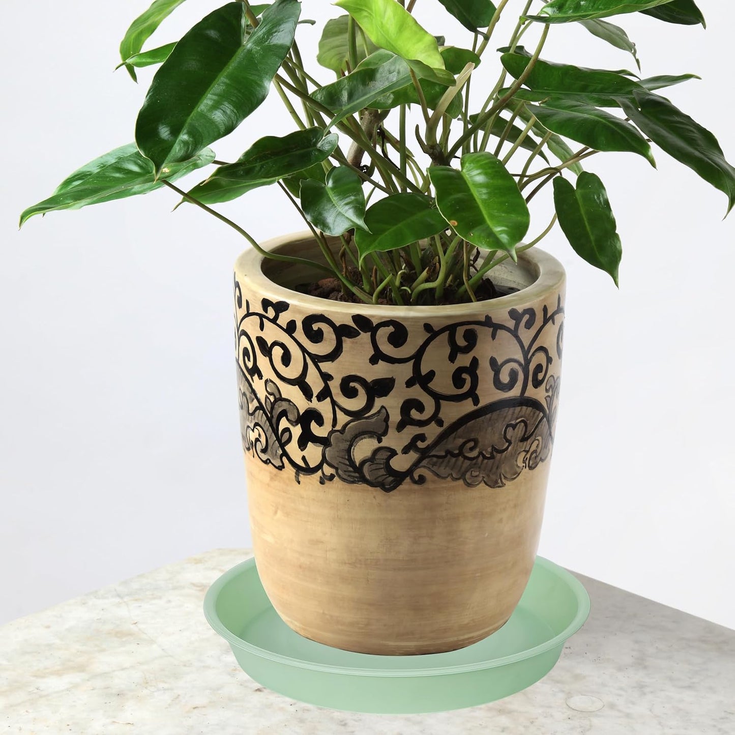 6 Pack of 10 inch Plant Saucer Blue, Heavy Duty Plastic Plant Saucer 10 inch Round, Flower Plant Saucers for Indoors, Plant Trays for Planter 8"/9"/10" (10", Light Green)