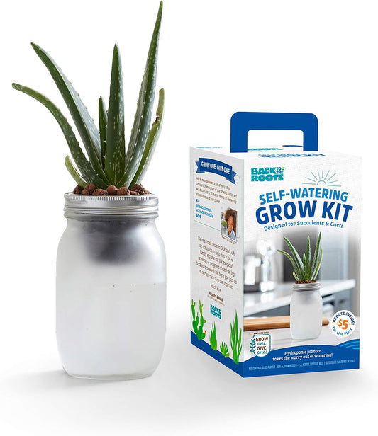Back to the Roots Self Watering Grow Kit - Glass Hydroponic Planters for Succulents and Cacti Self-Watering System