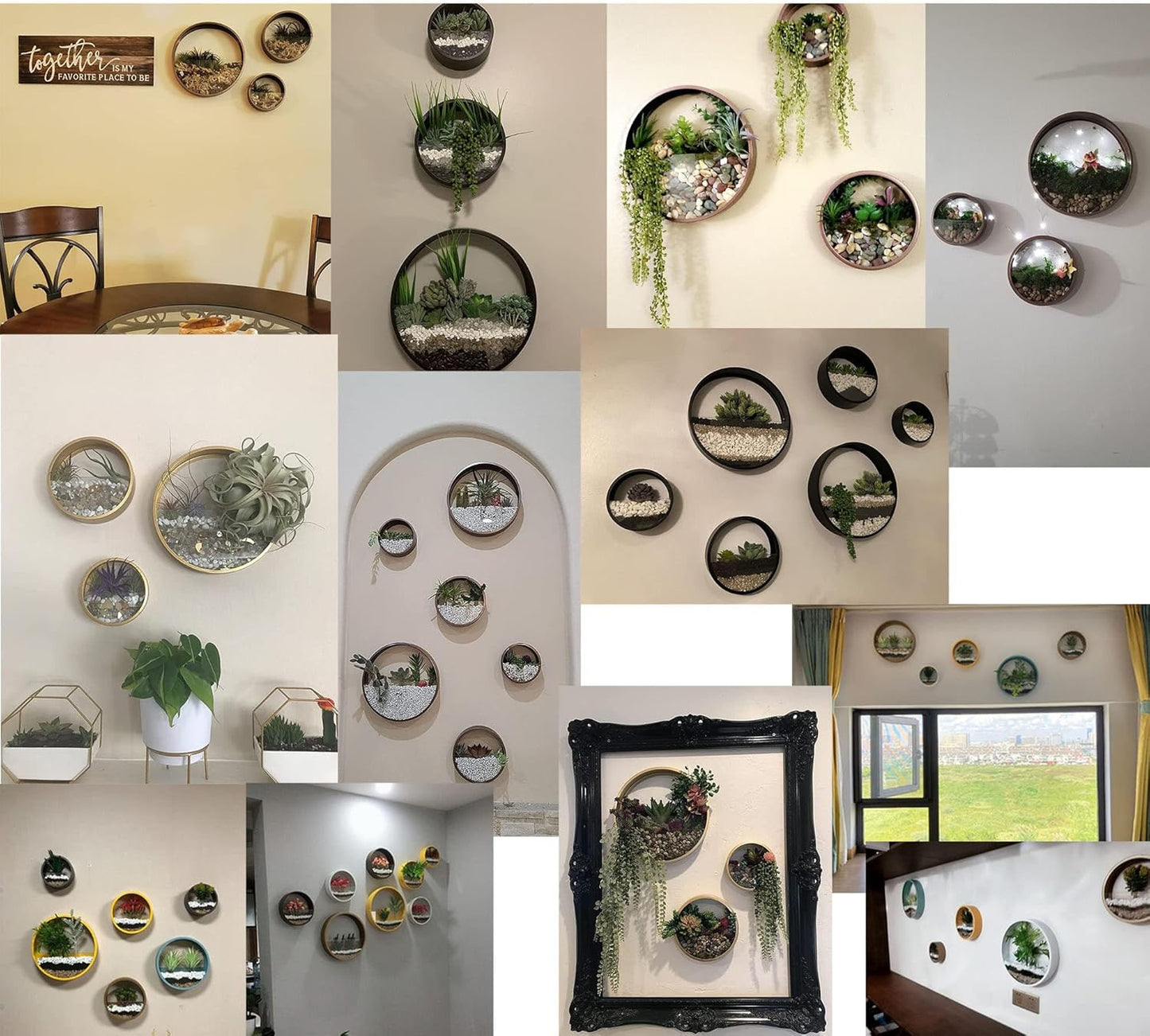 3 Pack Set Wall Planters,Modern Round Glass Wall Planter Succulent Planter Circle Iron Hanging Planter Vase for Herb,Small Cactus Perfect for Balcony, Room and Patio Decor (White)