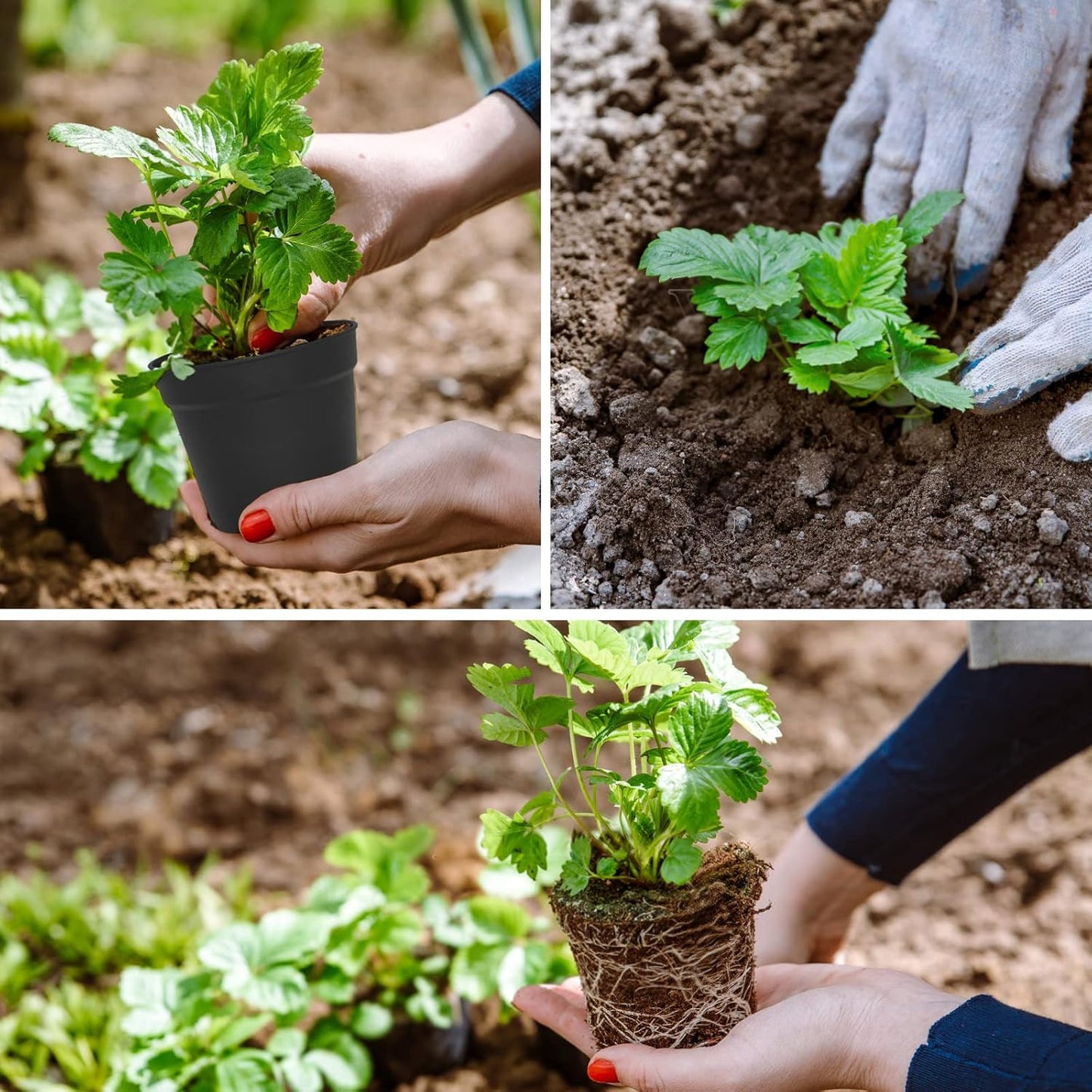 24 Pcs 4 Inch Plant Pots with Drainage Holes and Saucers for Indoor Plants, Plastic Small Flower Nursery Pots Seed Starting Pots for Plants Succulent, Black