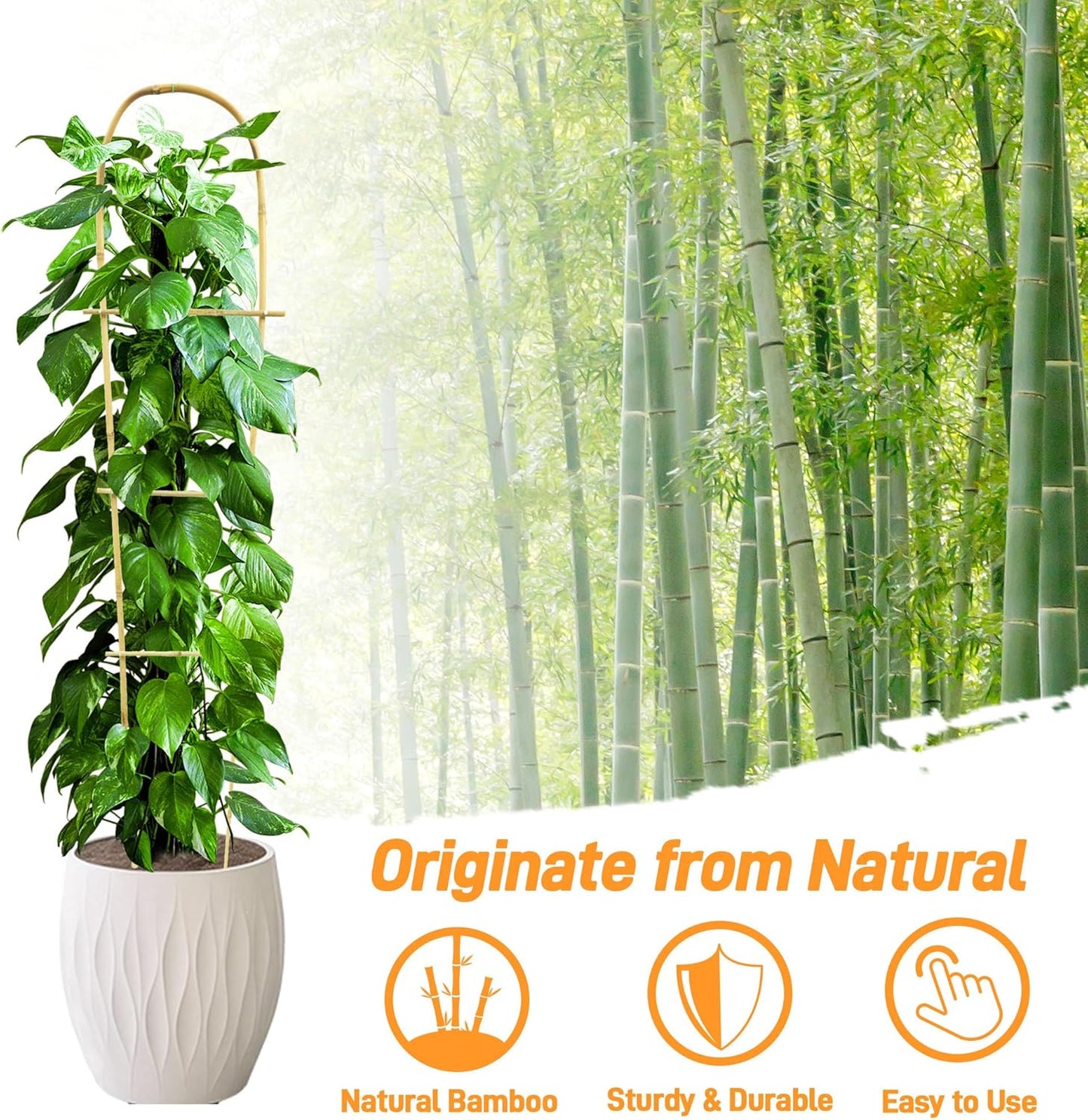 Avalution 10 Pack Bamboo U Trellis for Climbing Plants, 4 FT Garden Ladder Trellis for Potted Plants Indoor, Ladder Small Plant Support Trellis for Houseplants Ivy Hoya Vine Monstera