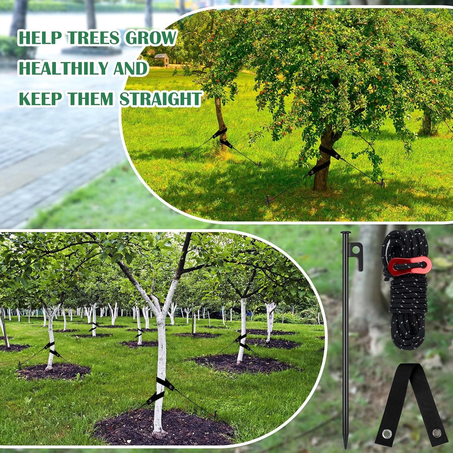 Suzile 60 Pcs Tree Stake Kit, Heavy Duty Tree Staking and Supports for Leaning Trees Include 11. 8'' Steel Stakes 15. 8'' Support Straps 13. 12 ft Ropes for Anchoring Hurricane Protection (Black)