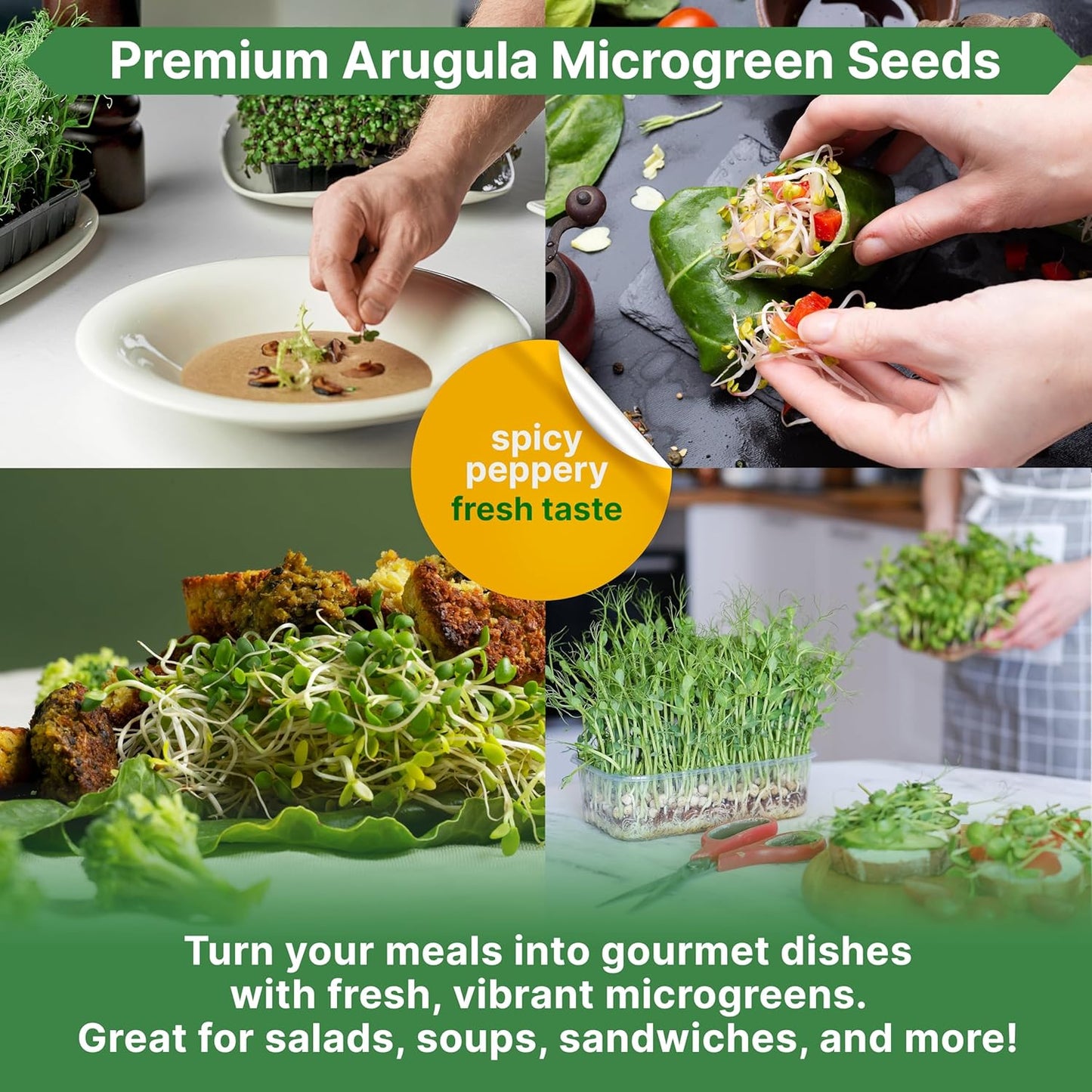 Organo Republic Arugula Sprouting & Microgreens Seeds - Non-GMO, Heirloom Sprout Seeds Kit, 1lb Resealable Bag for & Growing Microgreens in Soil, Coconut Coir, Aerogarden & Hydroponic System.