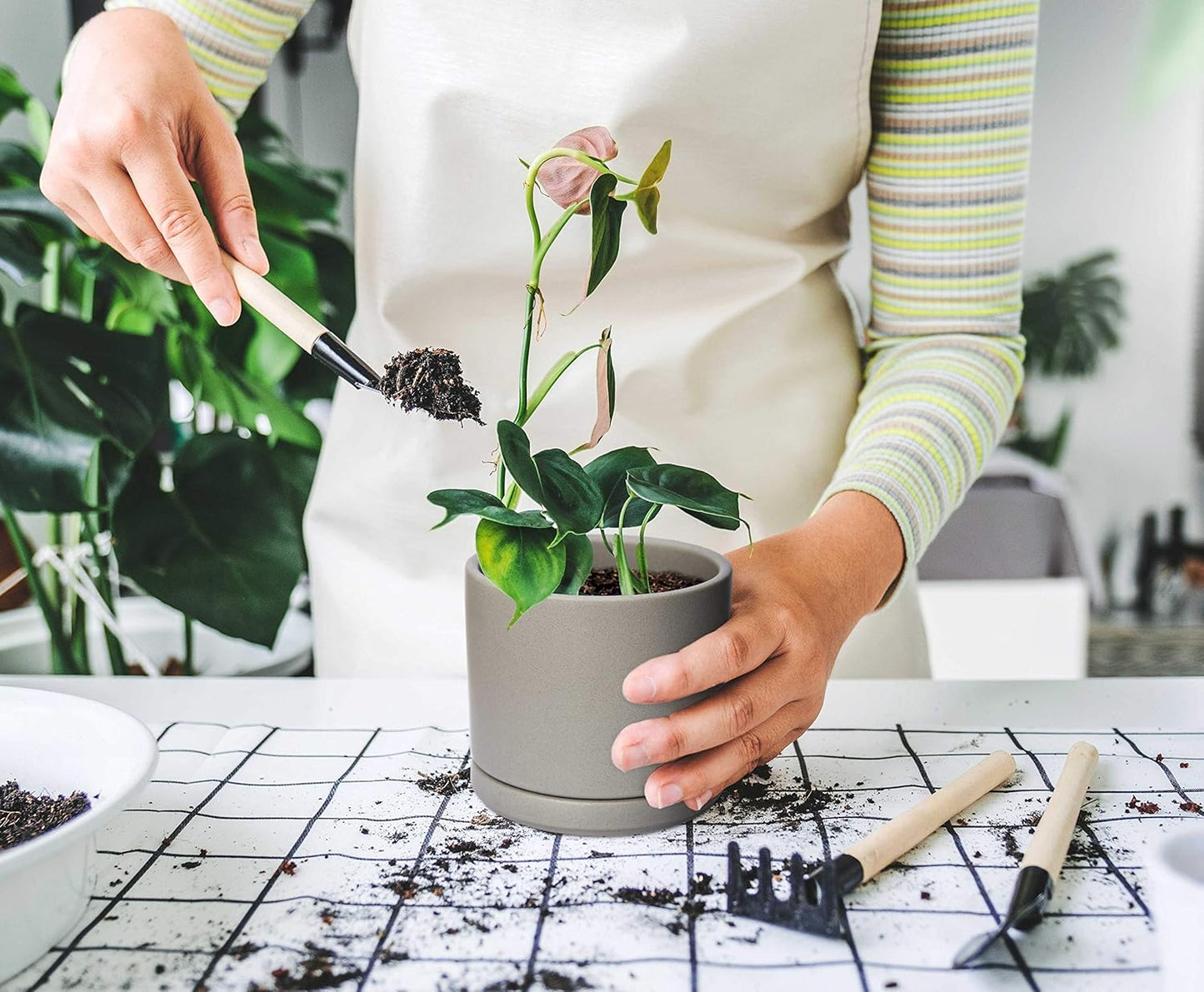 D'vine Dev Ceramic Planter Pot with Drainage Hole and Saucer, Indoor Cylinder Round Flower Pot, 4.6 Inch, Grey, 94-O-B-3