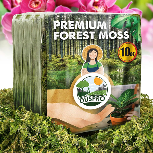 DUSPRO 10oz Dried Forest Moss for Potted Plants, Ideal for Orchid Moss Potting Mix Indoor Moisture Repotting Orchid Soil Medium, Terrarium Decor, Natural Reptile Vine