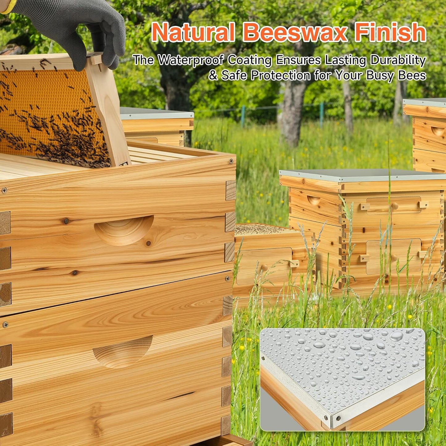 CREWORKS 10 Frame Bee Hive, 2 Layers Beeswax Coated Beehive Starter Kit with Frames & Foundations, Langstroth Bees Hives Box with Transparent Acrylic (Window Medium Box & Deep Box)