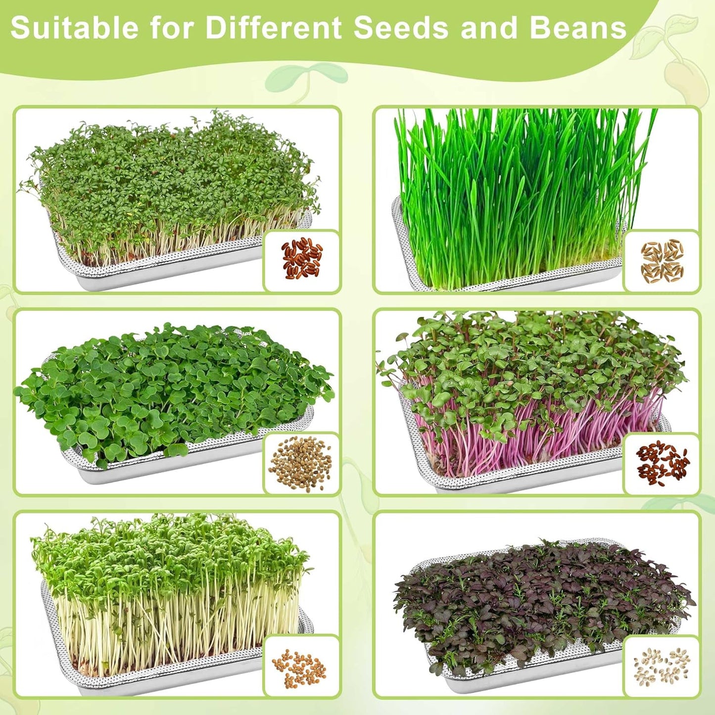 Stainless Steel Sprouts Growing Kit 4-Tier 12.4 inch Trays, Microgreens Growing Kit, Seed Sprouting Tray with Encrypted Mesh Sprouts for Beans Alfalfa Broccoli Wheat Grass