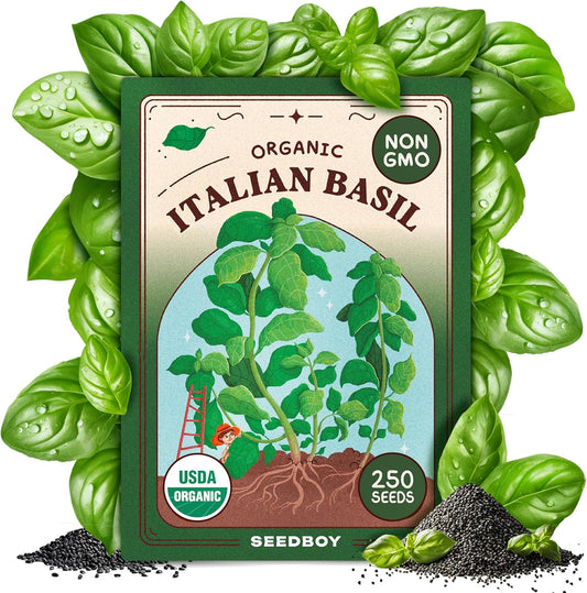 Seedboy 250 Organic Basil Seeds for Planting Indoor and Outdoor, Non-GMO and USDA Certified Herb Seed Packet for Hydroponic Garden Indoor or Planting Outdoors (Genovese Basil)