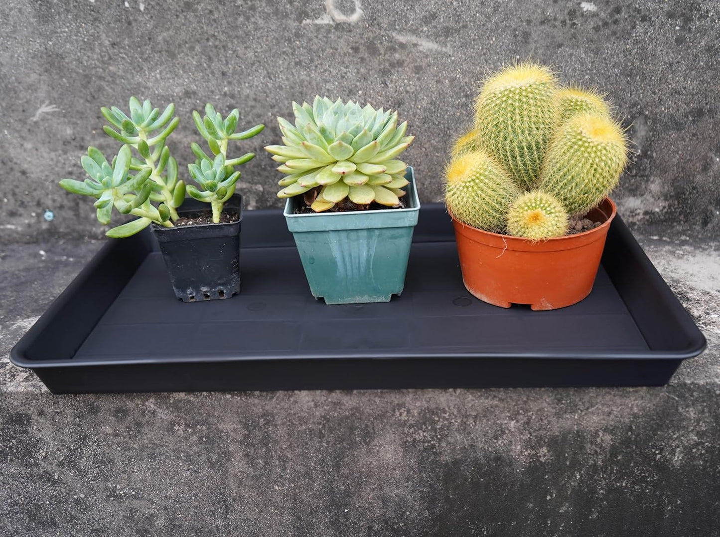 Plant Growing Trays 6 Pack, Plant Tray, 14.5"x11", Heavy Sturdy Plastic Plants Saucer, Seedling Starter Trays, Seed Starter Growing Tray (Black)