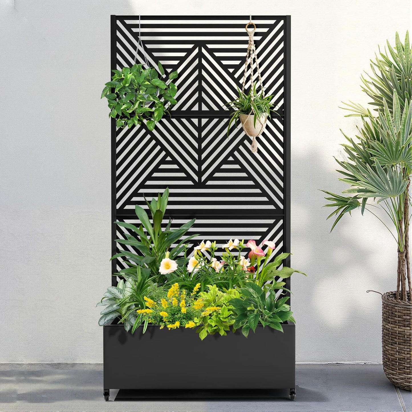 FENCY Metal Raised Garden Bed with Wheels and Trellis,73"x35"x16" Planter Box for Climbing Plants, Vegetables & Vines, Features Privacy Screen and Drainage Holes (Black-Modern)