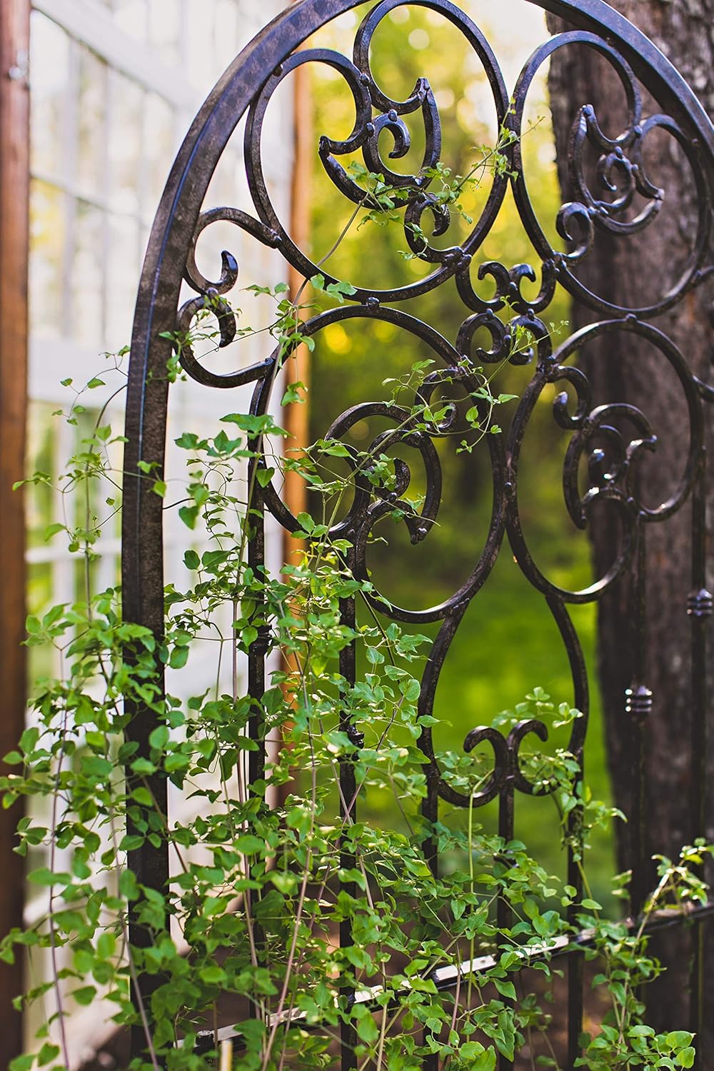 H Potter Legacy Wall Trellis - Thumbnail 4