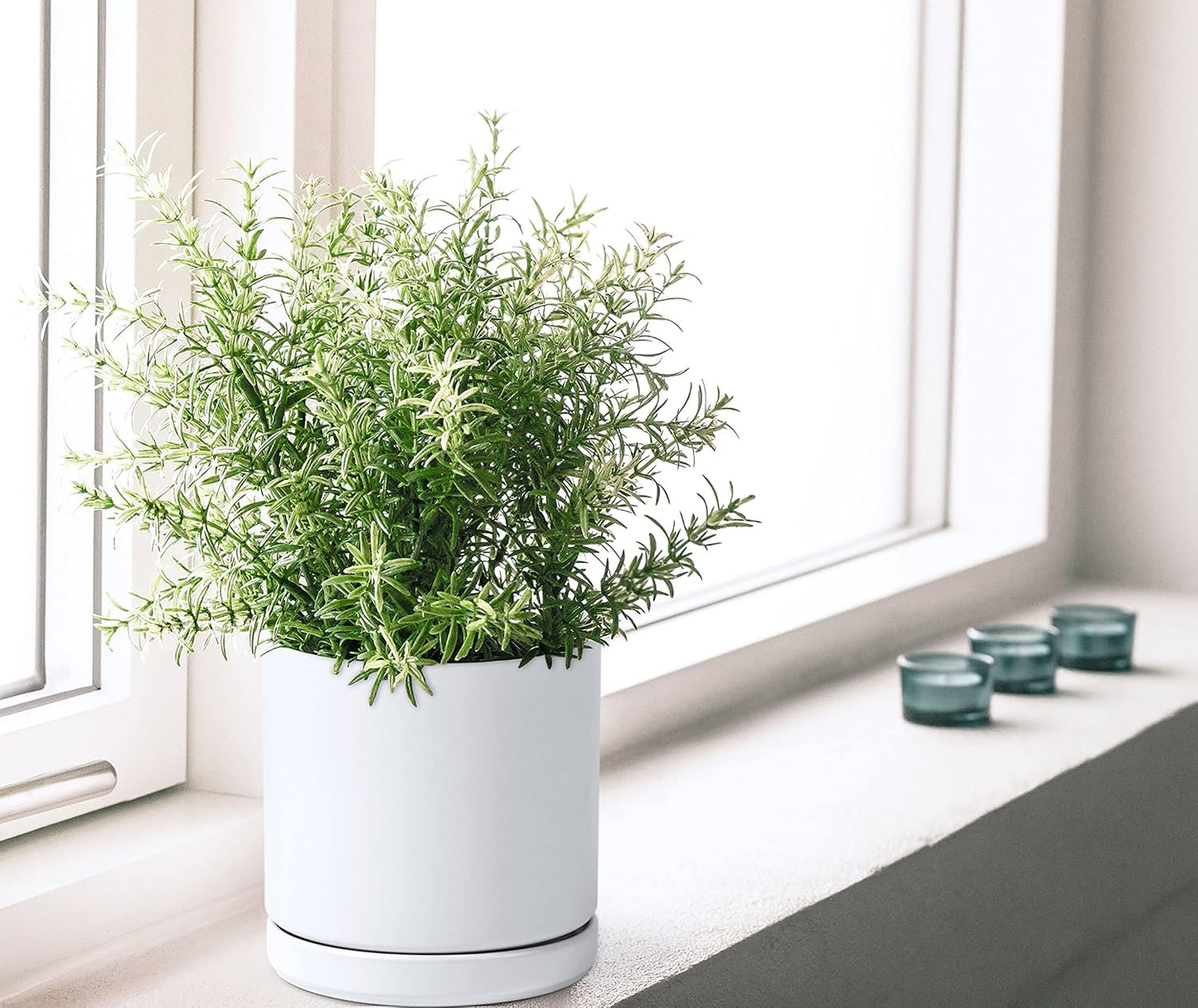 D'vine Dev Set of 2 Plants Pots, 6 Inch Ceramic Planter Pot for Plants with Drainage Hole and Saucer, White, 94-V-C-1