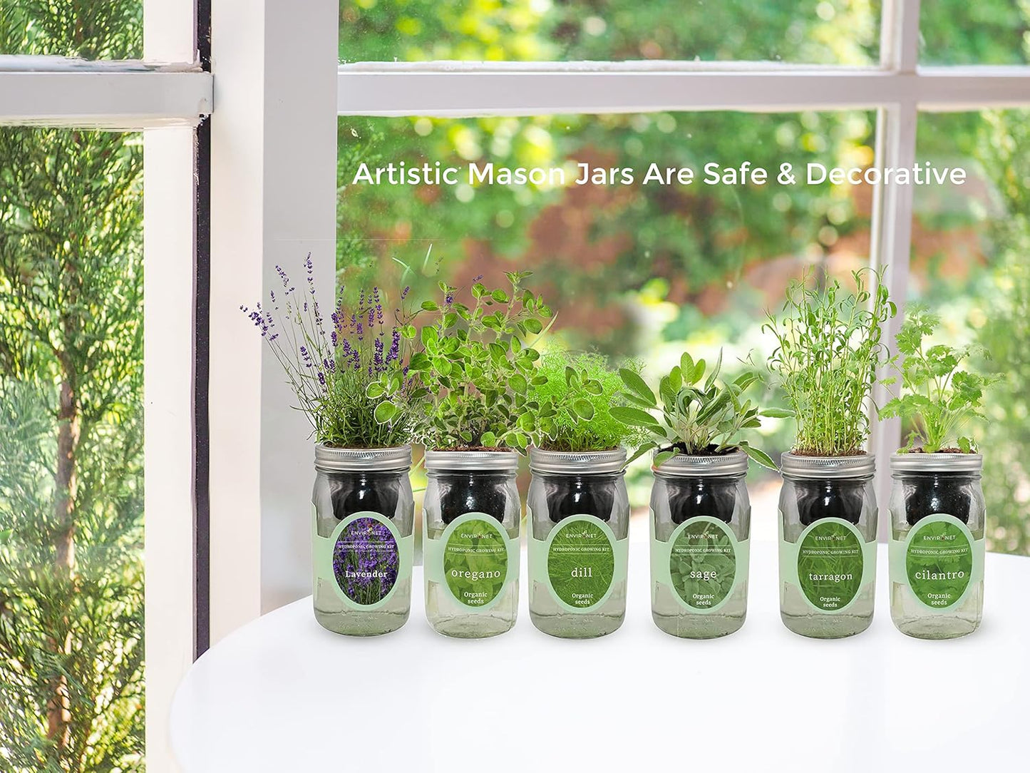Hydroponic Herb Growing Kit, Self-Watering Mason Jar Herb Garden Starter Kit Indoor, Grow Your Own Herbs from Organic Seeds (Chives)