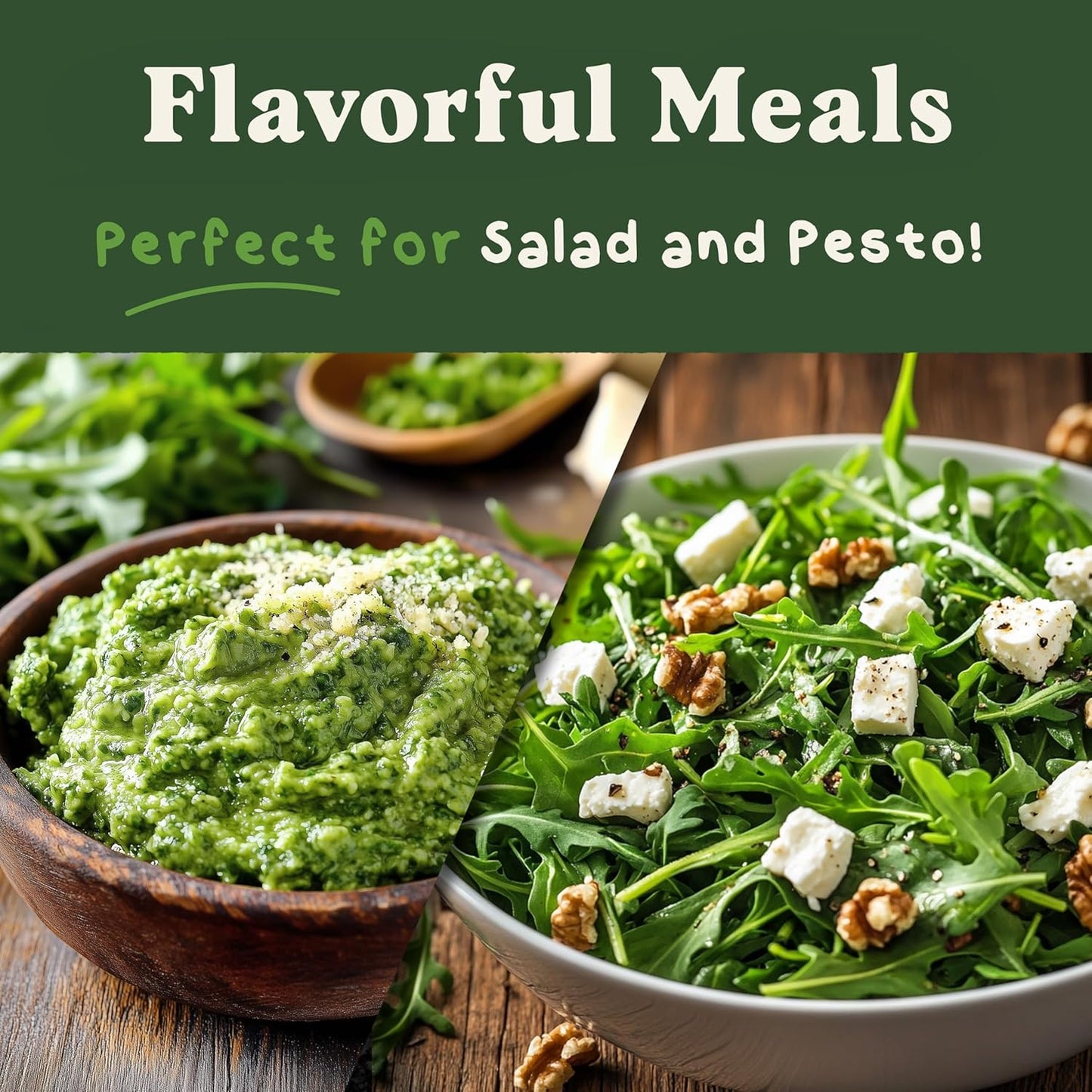 Seedboy Organic Arugula 'Slow Bolt' Seeds for Planting Indoor and Outdoor, Non-GMO and USDA Certified Herb Seed Packet for Hydroponic Garden Indoor or Planting Outdoors (Slow Bolt Arugula)