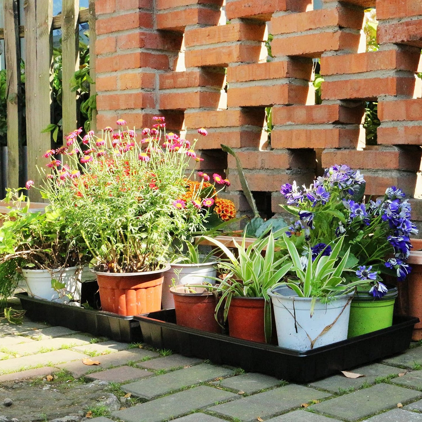 Gardzen 10 Pack Seed Trays, Reusable Plant Grow Trays, Ideal for Seed Starting, Microgreens, Indoor Gardening, and Greenhouse Plant Nurseries - No Drain Holes, 17.3" x 13"