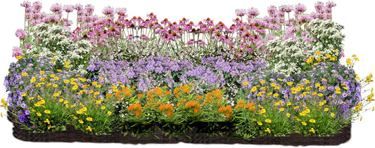 64 Outdoor Plants - Flowering Garden for Full Sun to Support Pollinators Including Perennial Native Plants Purple Coneflower, Butterfly Milkweed, Wild Bergamot and Smooth Blue Aster