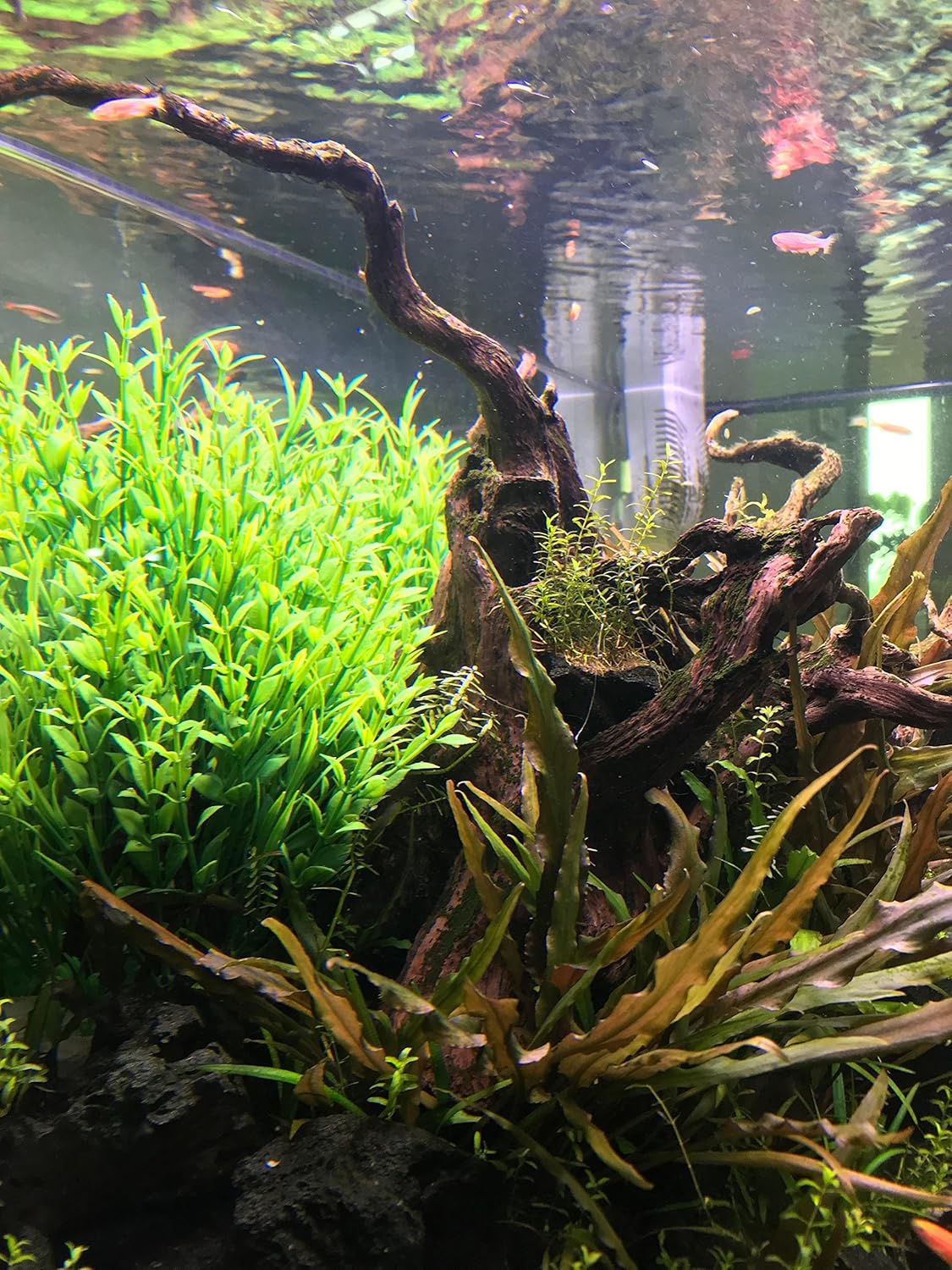 BEGONDIS Aquarium Decorations Fish Tank Artificial Green Water Plants Made of Soft Plastic