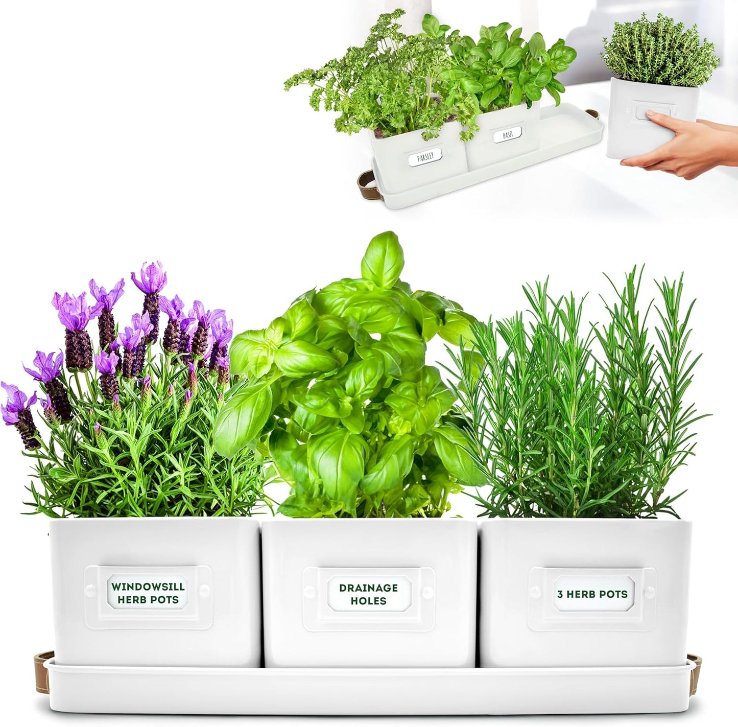 Herb Planter Indoor - Set of 3 Warmstone Indoor Herb Garden Pots for Plants with Leather Handled Tray - Window Sill Plant Shelf - Herb Pots with Drainage Holes and Labels
