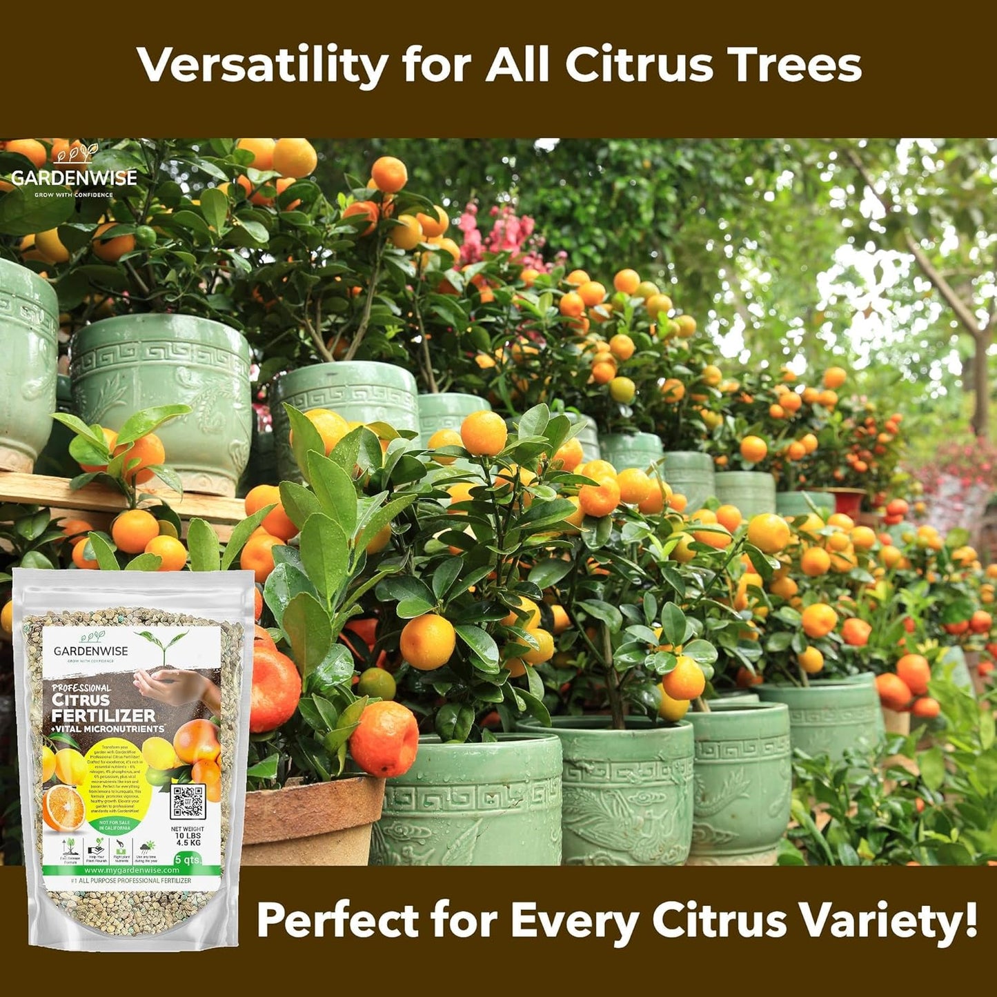 Professional Citrus Fertilizer + Vital Micronutrients; Perfect Balanced NPK for All Citrus; for Indoor and Outdoor Plants; Orange, Lime, Avocado and Lemon Tree Fertilizer (1/2 Quart)
