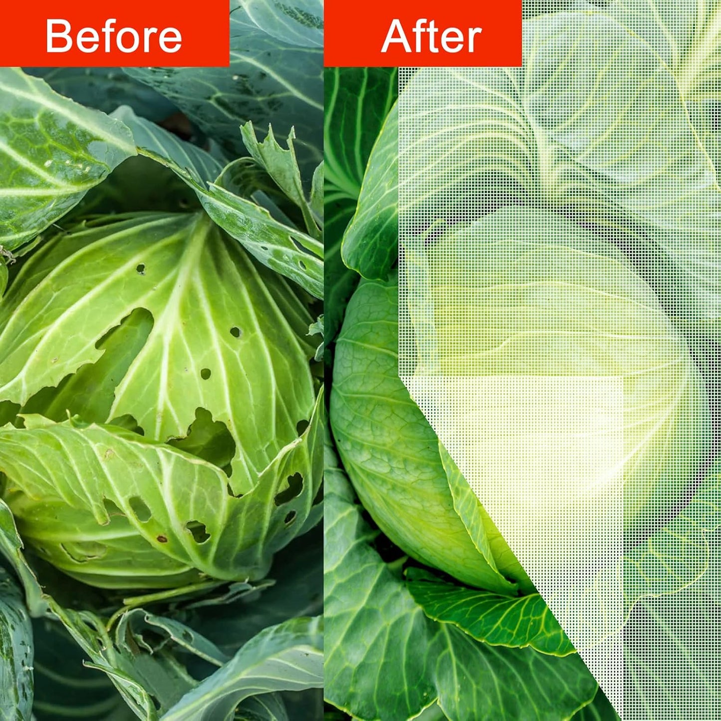 Agfabric Garden Netting 5'x10' Insect Pest Barrier Bird Netting for Garden Protection,Row Cover Mesh Netting for Vegetables Fruit Trees and Plants,White