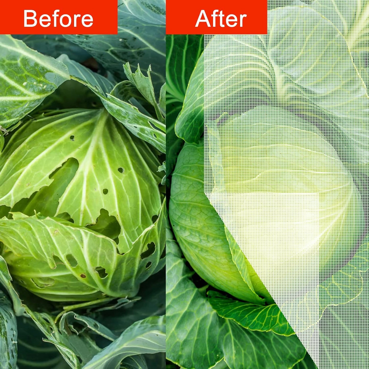 Agfabric Garden Netting 10'x30' Insect Pest Barrier Bird Netting for Garden Protection,Row Cover Mesh Netting for Vegetables Fruit Trees and Plants,White,2 Pack