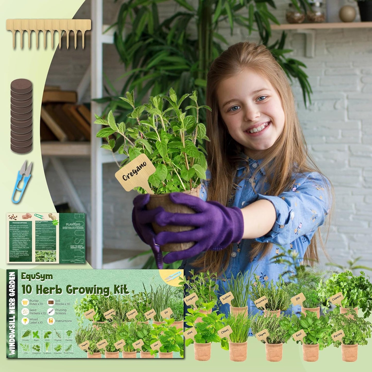 5 Herb Window Garden Kit Indoor - Herb Seeds for Indoor & Outdoor Planting, Gardening Gift for Kids, Moms, Women, Beginners - Complete Starter Kit with Pots, Soil, Basil, Mint, Thyme, Parsley