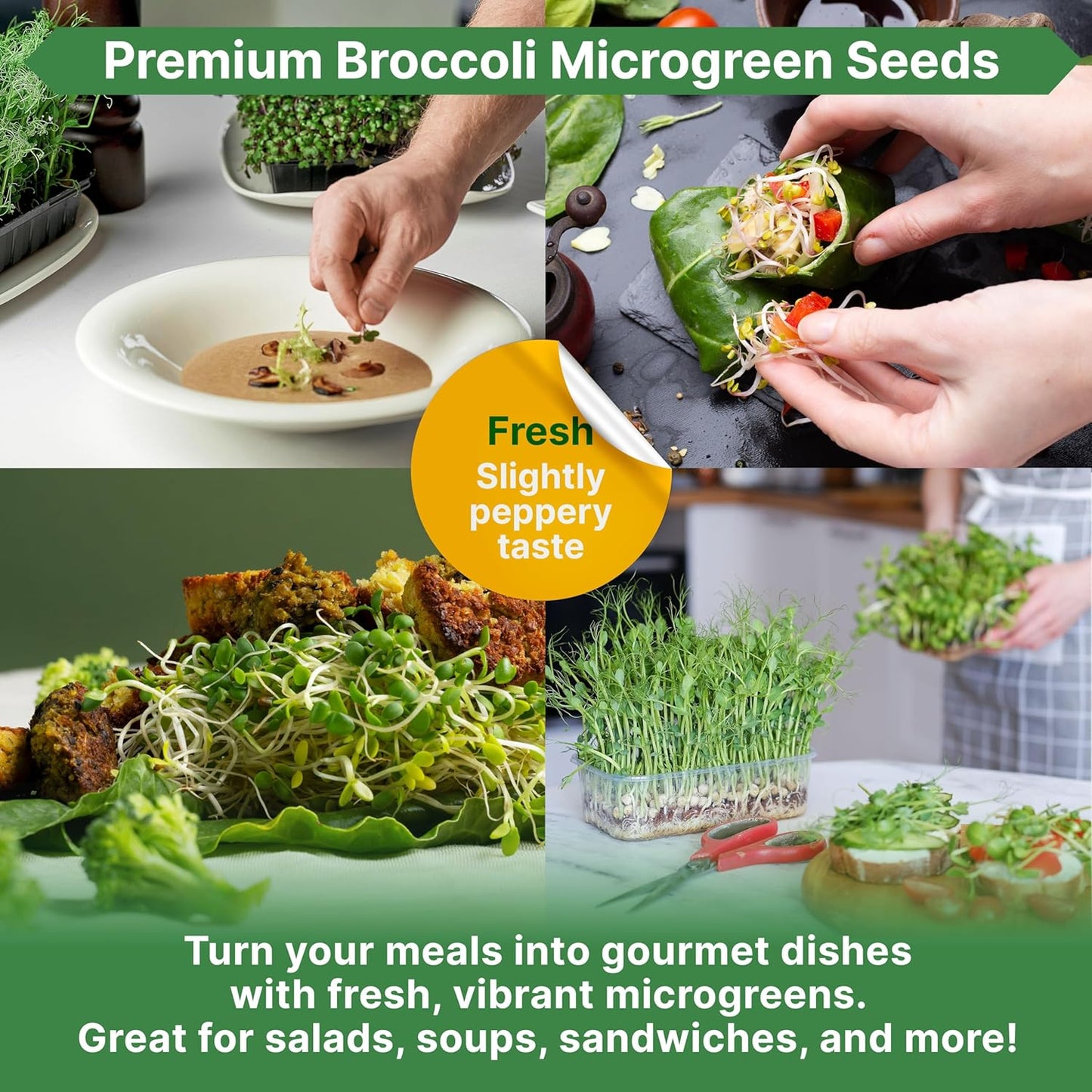 Organo Republic Broccoli Sprouting & Microgreens Seeds - 32,500 Non-GMO Heirloom Seeds, Sprouts in Bulk 4oz Resealable Bag for Planting & Growing in Soil, Coconut Coir, Aeroponic & Hydroponic System