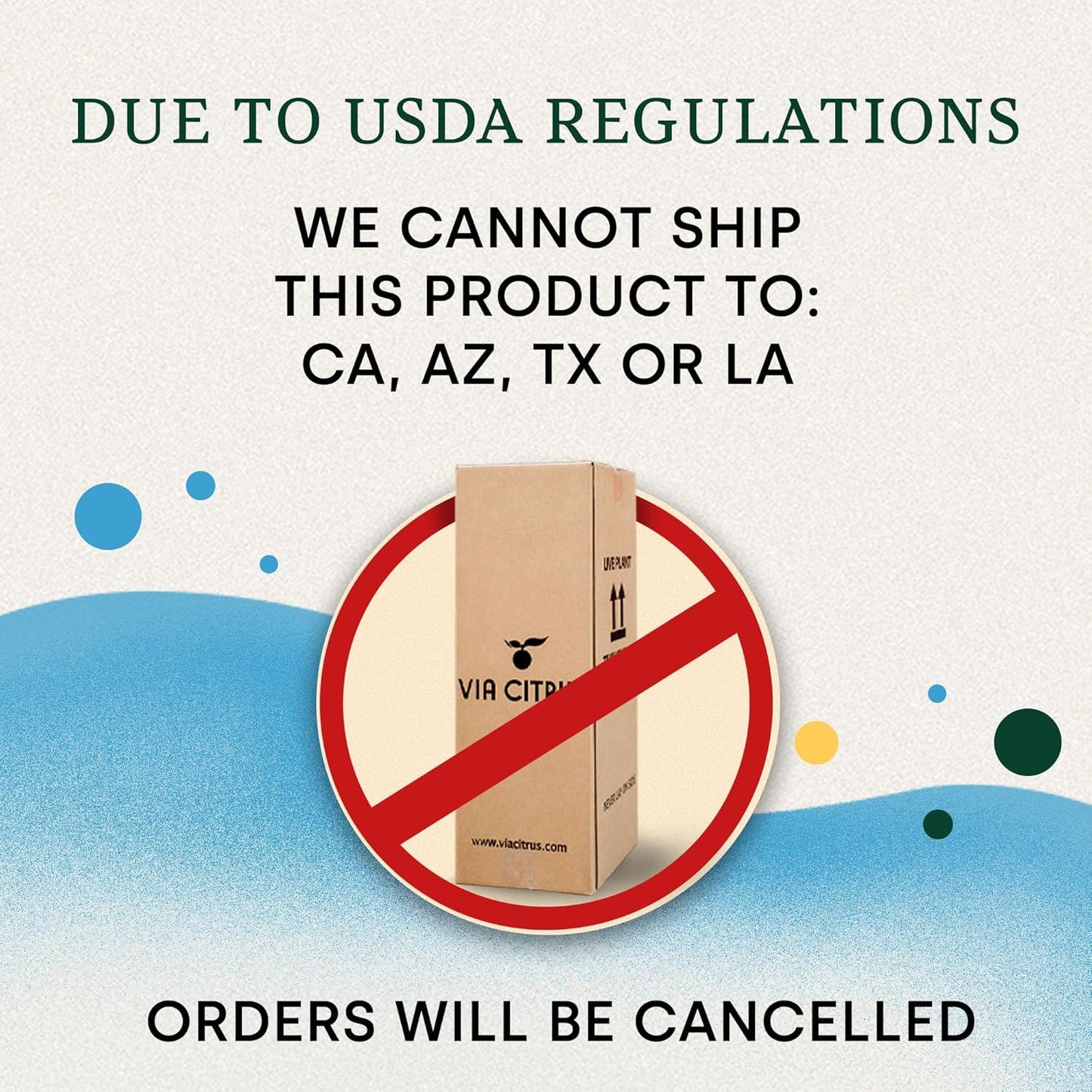 Ponderosa Lemon Patio Fruit Trees Live Plants 12-22" Tall - Dwarf Fruit Trees Live Plants Outdoor, Small Lemon Tree Cannot Ship: CA,AZ,TX,LA - Real Indoor Tree, Citrus Pot for Planting by Via Citrus