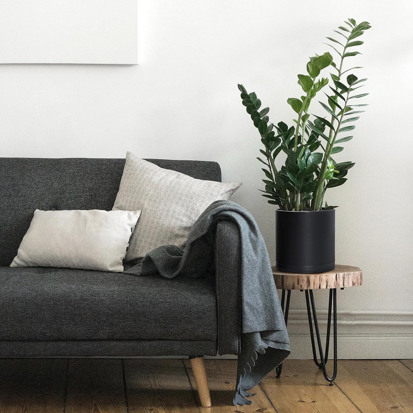 D'vine Dev 8 Inch Plastic Planter Pots for Plant Pot with Drainage Hole and Seamless Saucers, Black Color, 74-X-B-1